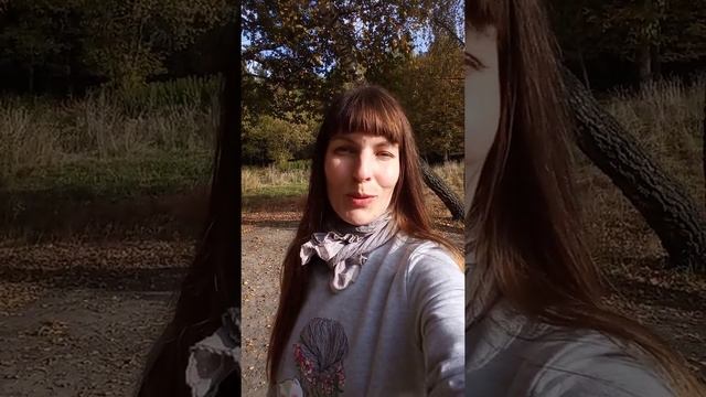 Красные Дубы. Подольск. смотреть онлайн