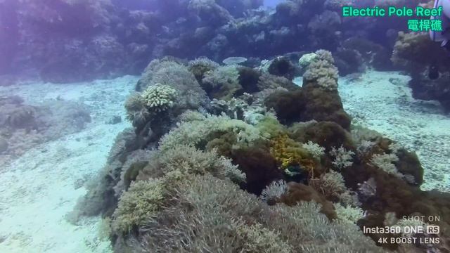電桿礁 Electric Pole Reef 綠島 смотреть онлайн