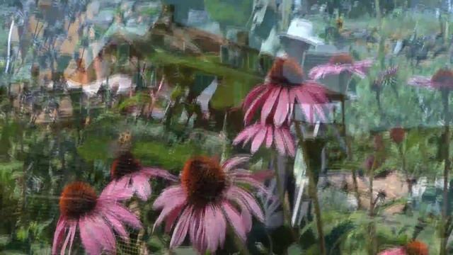 Exploring Coastal Maine - Penobscot смотреть онлайн