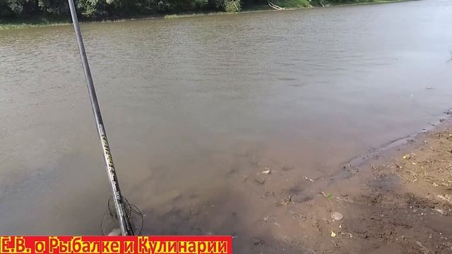 Успешная рыбалка в Самарской области на леща и подлещика.Ловим подлещиков в Самаре.Рыбалка 63 регио смотреть онлайн