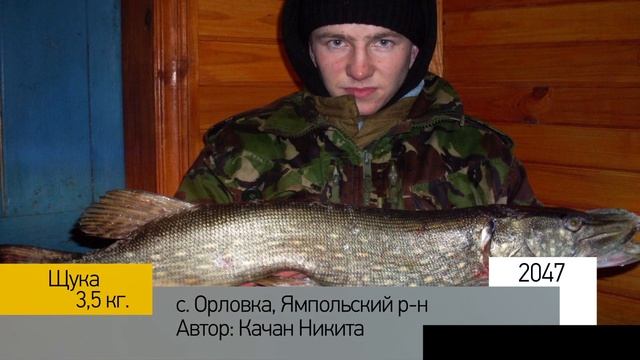 Фотоальбом - Рыбалка №409 смотреть онлайн