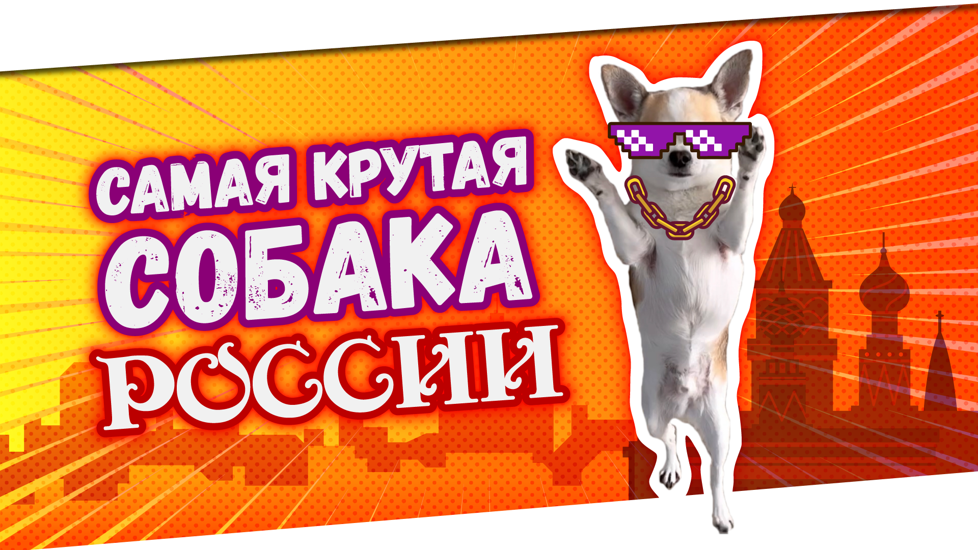 САМАЯ КРУТАЯ СОБАКА РОССИИ! ОЧЕНЬ УМНАЯ СОБАКА смотреть онлайн