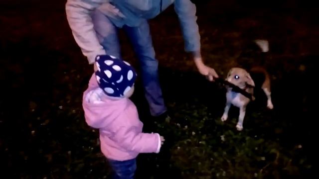 Софочка и Бигль смотреть онлайн