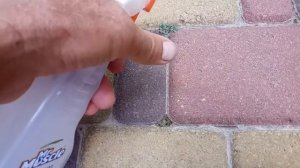 Как убрать мох на крыше, на тротуаре. Очень дешево.