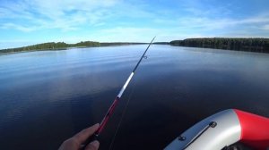 Спиннинг CRAZY FISH ASPEN STAKE на рыбалке