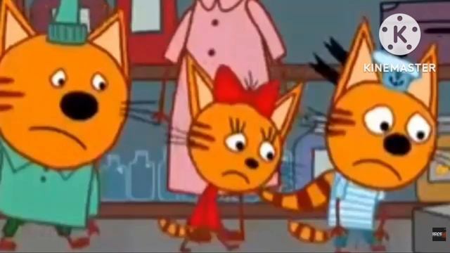 таинственные кадры с тремя котами (bridge tv pepe, 04.12.2022) смотреть онлайн