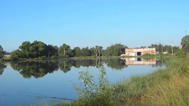 Рыбалка на пруду в посёлке имени Воровского Судогодский район. Снято ретрокамерой. смотреть онлайн