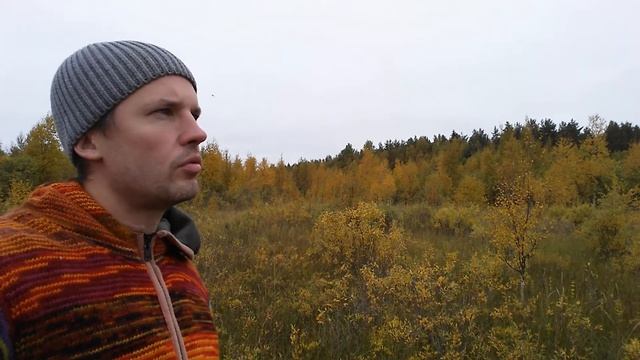 Почему птицы возвращаются из теплых стран? Россия - страна возможностей! смотреть онлайн