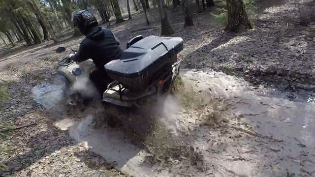 SYM 600 и сестек кинкобра смотреть онлайн