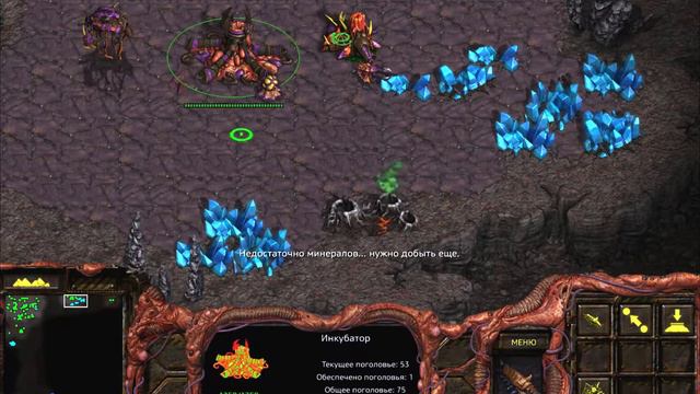 Трусливые тамплиеры [StarCraft Remastered Zerg #16] смотреть онлайн