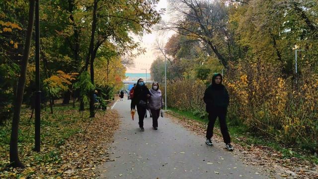 Autumn In Tashkent. Ташкентский ботанический сад 4k