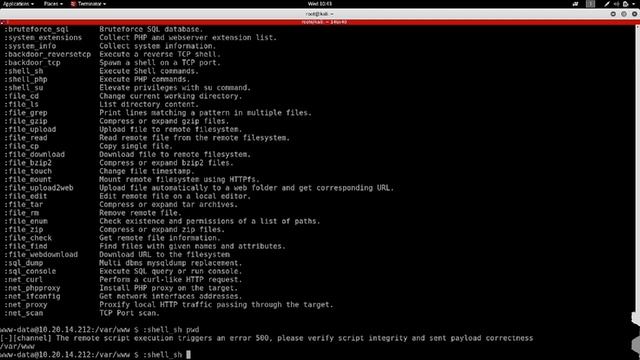 Post Exploitation | Running Shell Commands смотреть онлайн