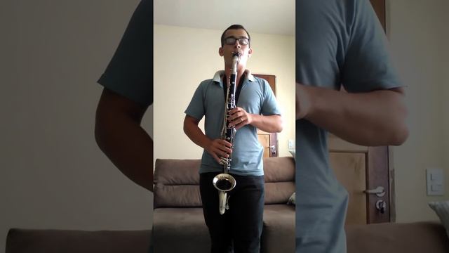 Clarone Alto Selmer Bundy USA (alto Clarinet) Hino 379 CCB смотреть онлайн