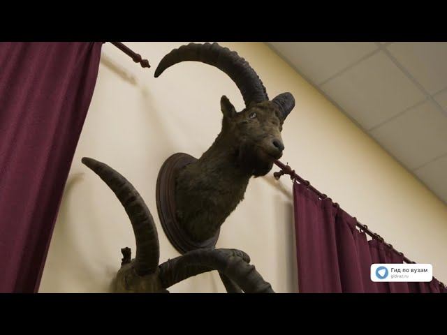 СПбГЛТУ — Музей зоологии позвоночных и охотоведения им. А. А. Силантьева смотреть онлайн