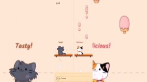 Duet cats - 7 Years