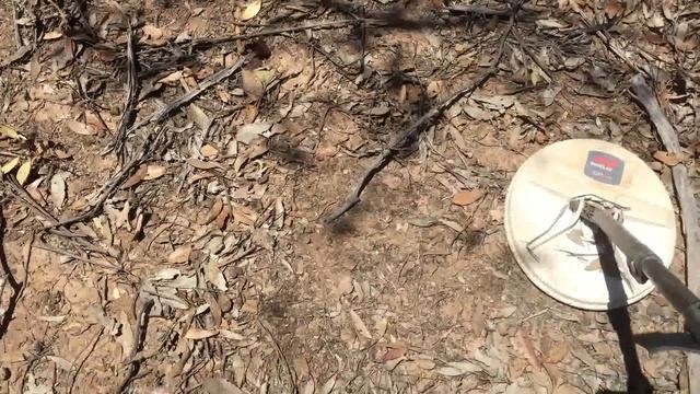WHAT A DAY!! Over 1 OUNCE of GOLD NUGGETS Metal Detecting GPZ7000 смотреть онлайн
