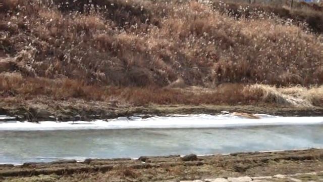 Sony DSC - w120 TEST смотреть онлайн