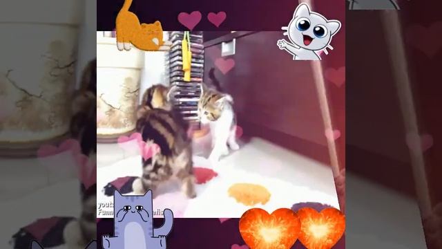 Всемирный день кошек! смотреть онлайн