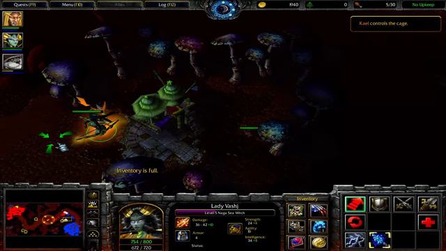 Warcraft 3: The Frozen Throne - Chapter 4 (Curse Of The Blood Elves)