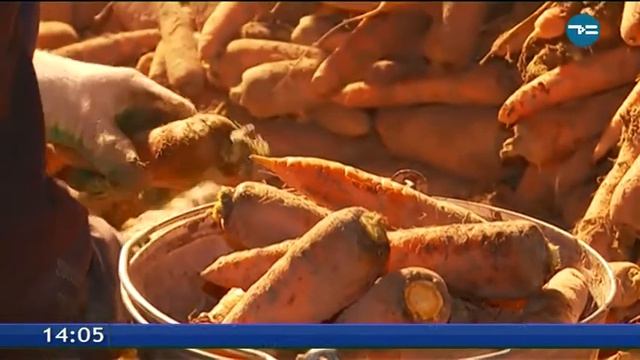 Уватские агроперспективы смотреть онлайн