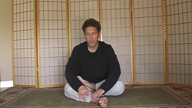 Getting into Lotus Part 2 смотреть онлайн