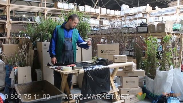 Agro-Market.net | Что такое доверие? | Закадровые съемки со склада смотреть онлайн