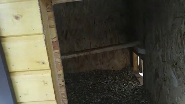 Обзор мини-курятника #курятник #куры смотреть онлайн