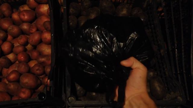 БУДЕТ ЛИ ХРАНИТЬСЯ КАРТОФЕЛЬ? (КАК СОХРАНИТЬ УРОЖАЙ ДО ВЕСНЫ) смотреть онлайн