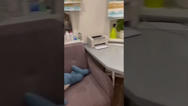 ДИЗАЙНЕРСКИЕ ПЕРЕГОРОДКИ ОТ BRUS DECOR смотреть онлайн