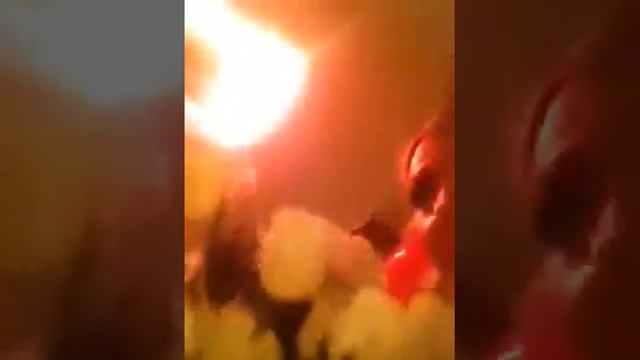 Светской Львице Вручили Любимые Белые Розы смотреть онлайн