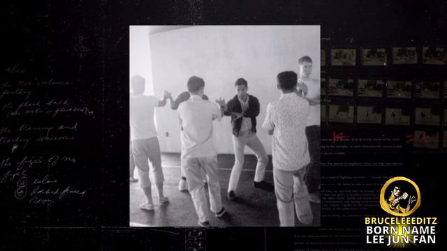 Shannon Lee on Bruce Lee's Childhood & Why IP Man kicked him out of his school смотреть онлайн