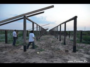 ООО Волгоград Эдильбай. Экономика строительства кошары с базом и навесом.