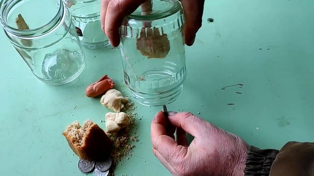Как поймать МЫШЬ без мышеловки. Самый гуманный способ смотреть онлайн