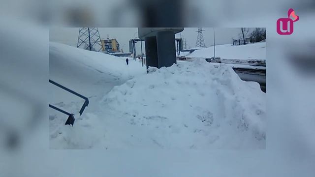 Сова во дворе. Народные новости смотреть онлайн