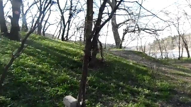 Воспитание АМЕРИКАНЦА-ПИТБУЛЯ... смотреть онлайн