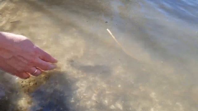 Всего одно желание и совсем другой человек)