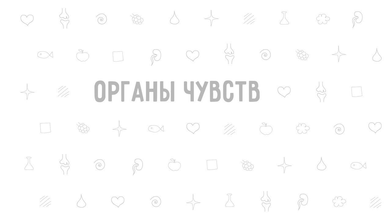 20. Органы чувств . Окружающий мир - 3 класс смотреть онлайн