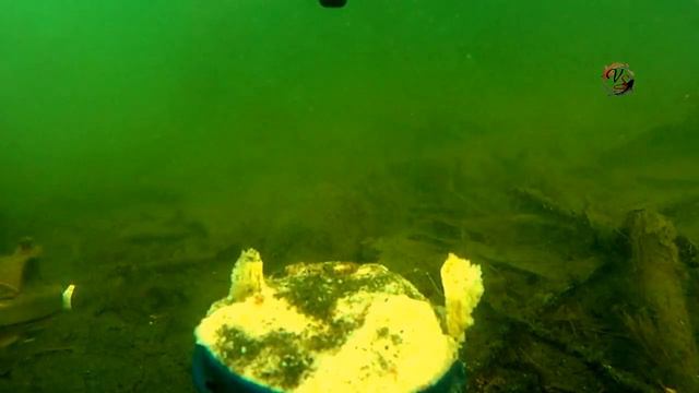 Озёра, в которых я не поймал ни одной крупной рыбы, А Вот, что камера сняла ! Fishing câu cá рыбалка смотреть онлайн