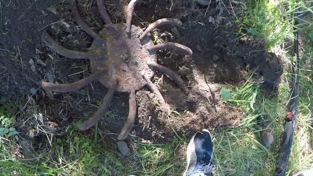 Зачем мне искать Новые Места, если есть Это. 2 Трофея. Металлокоп. смотреть онлайн