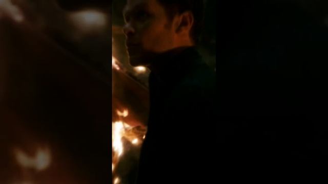 Я Клаус Майклсон!!! #первородные #клаусмайклсон #сериал смотреть онлайн