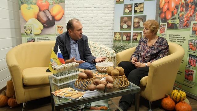 КАК ПОЛУЧИТЬ БОЛЬШОЙ УРОЖАЙ КАРТОФЕЛЯ смотреть онлайн