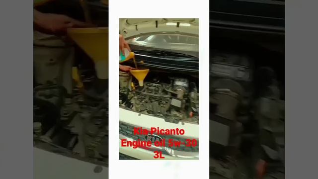 kia picanto engine oil change 5w-30 3L #oilchange #car #kiapicanto #automobile #engine смотреть онлайн