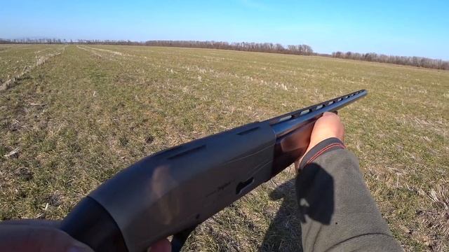 ОХОТА НА ЗАЙЦА (открытие сезона)