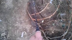 Обработка винограда бордосской жидкостью после открытия