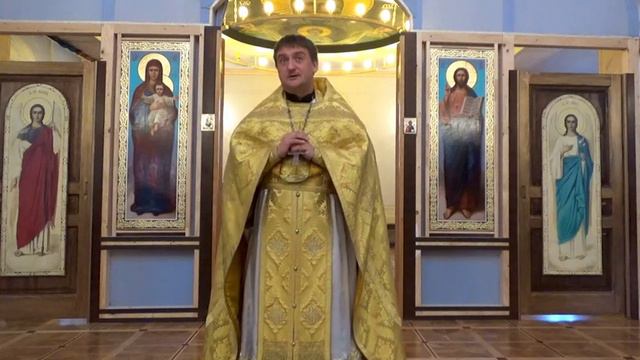 Проповедь в неделю пятую по Пятидесятнице. «Для чего Бог создал человека?» смотреть онлайн