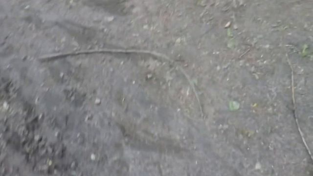 ПОЧЕМУ ПАЛКИ НАДО ЗАПРЕТИТЬ ПАЛКИ ВСЕЛЕНСКОЕ ЗЛО смотреть онлайн