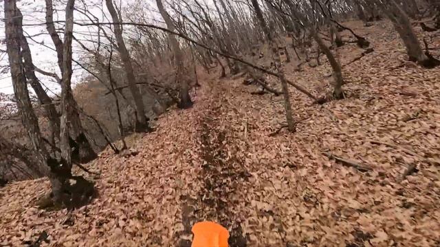 KTM 250 SXF тренировка в долине смотреть онлайн