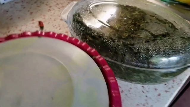 Шеф-повар дома с Полиной