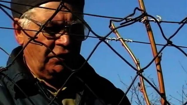 Сетка рабица В.Г. Архипова. Коломна, Московская обл., 1988 смотреть онлайн