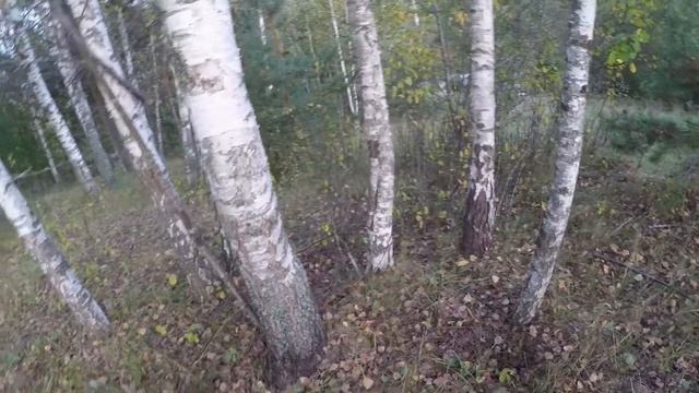 Коп с Беркут 5 смотреть онлайн